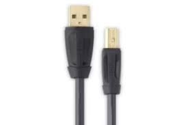 download.jpg