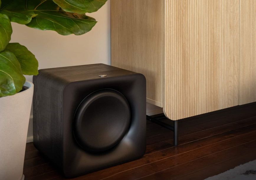 klipsch_flexus_sub_100_beside_fiddle_leaf_fig_2000x2000_logo_v02_e1714398256696.jpg