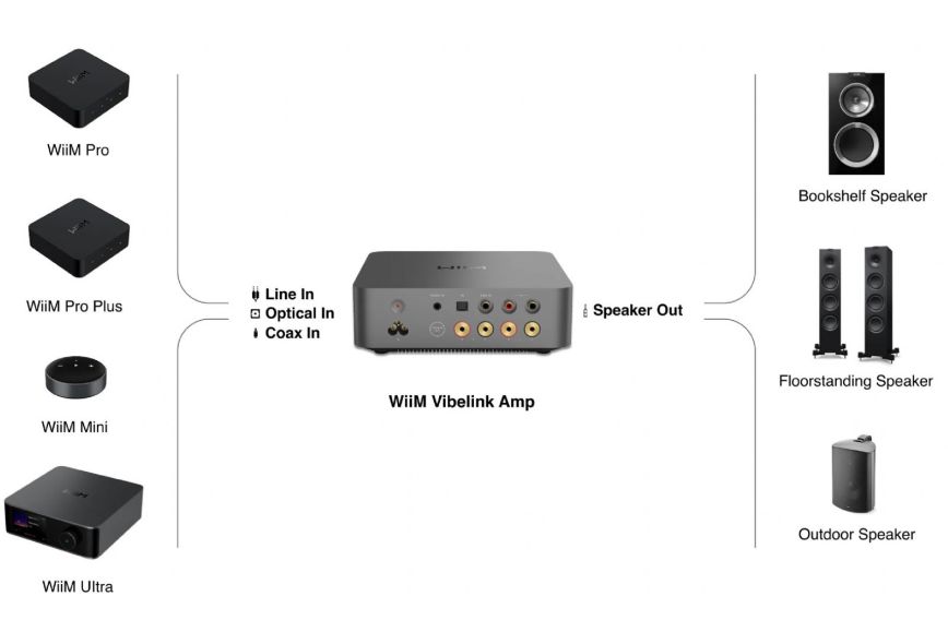 395326_wiim_vibelink_amp_975_2.jpg