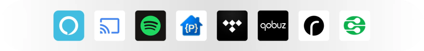 allmusicicon2_c_paulsl.png