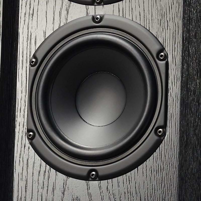 003_neat_motive_sx1_black_oak_woofer.jpg