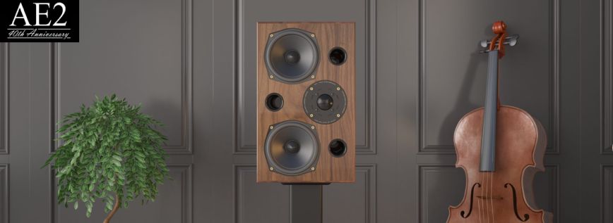 ae2_40th_anniversary_walnut_lifestyle_1_scaled.jpg