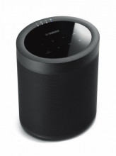 MusicCast 20