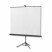 Kingpin Tripod Screen 1:1