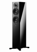 Focus 30