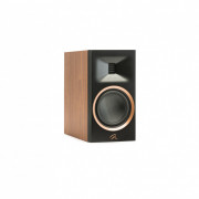 Motion B10