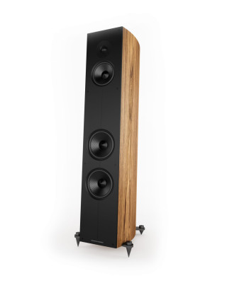Acoustic Energy Corinium hos Hifi-Punkten.se