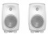 Genelec G-Five
