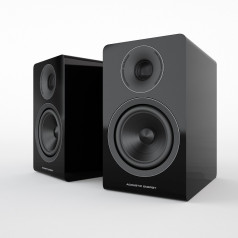 Acoustic Energy AE 300 hos Hifi-Punkten.se
