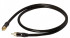 Real Cable E-AN