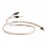 QED REFERENCE XT40